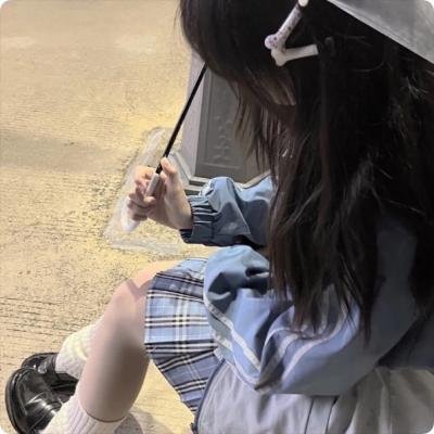 我的会长大人